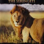 دانلود زیرنویس Africa: The Serengeti 1994